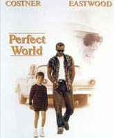 A Perfect World /  
